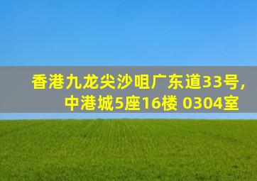 香港九龙尖沙咀广东道33号,中港城5座16楼 0304室